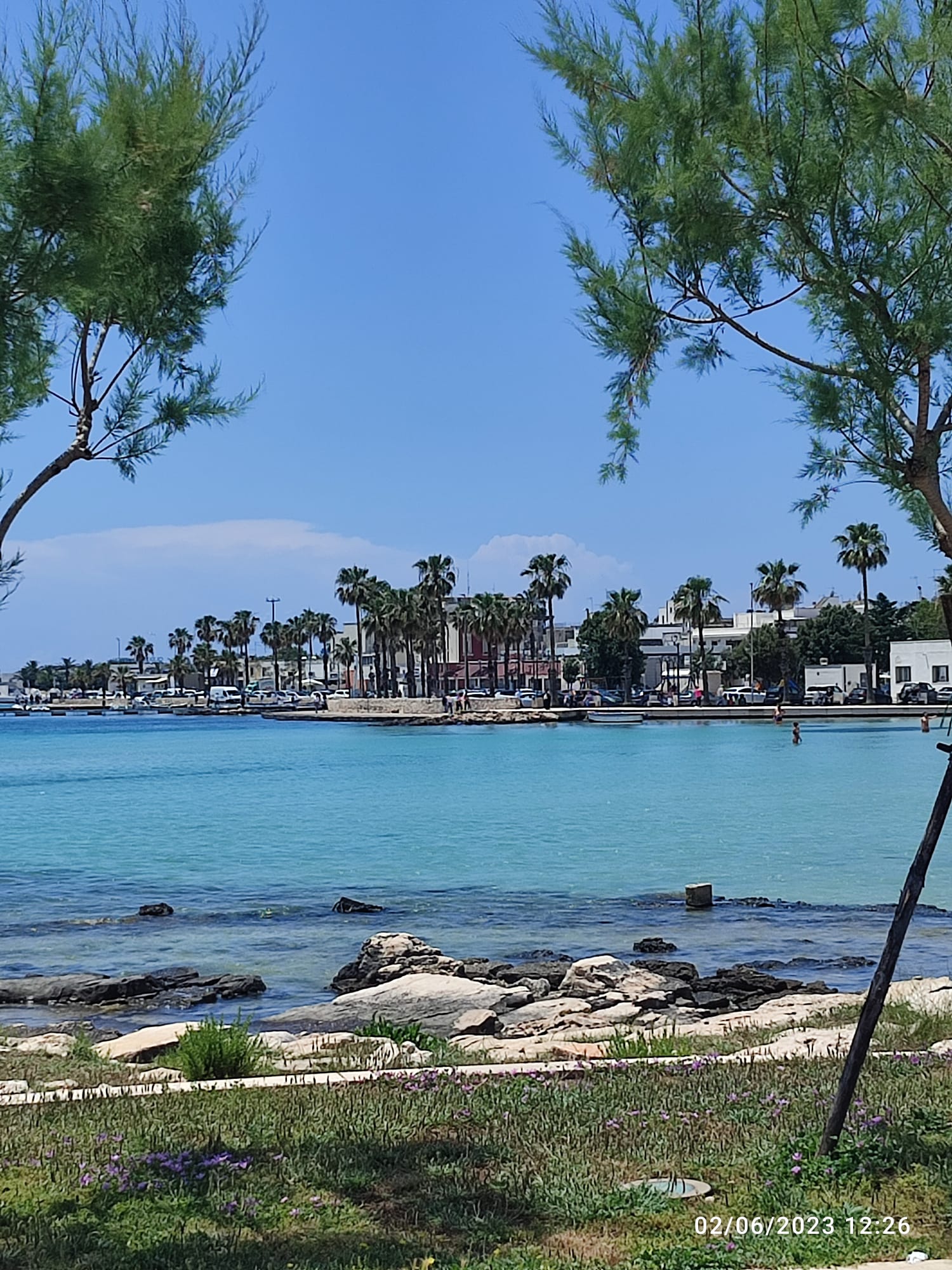 immagine di LEVANTE